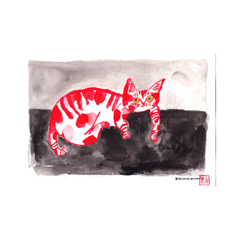 Cute Kitten