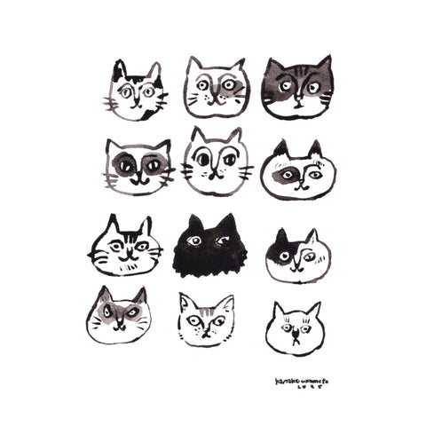 The Many Faces of Cats