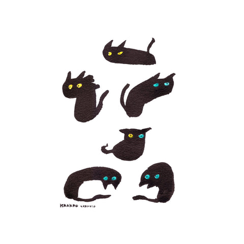 Shape of cats