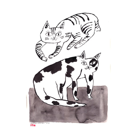 Two cats