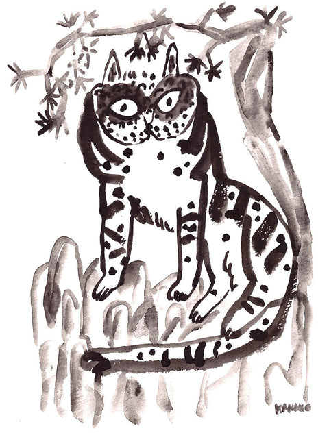 Wild cat