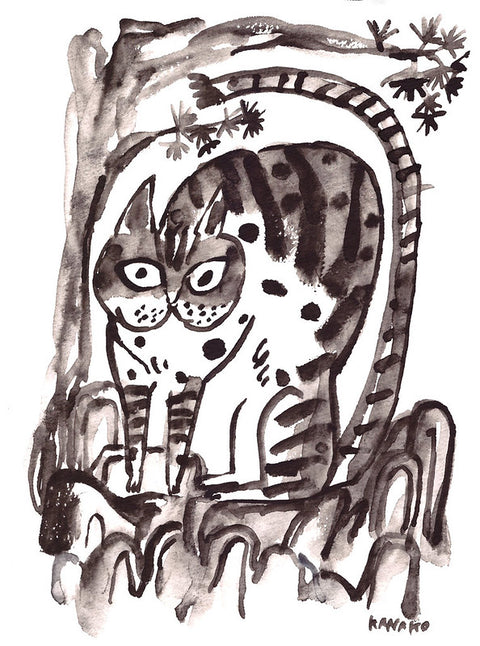 Wild cat